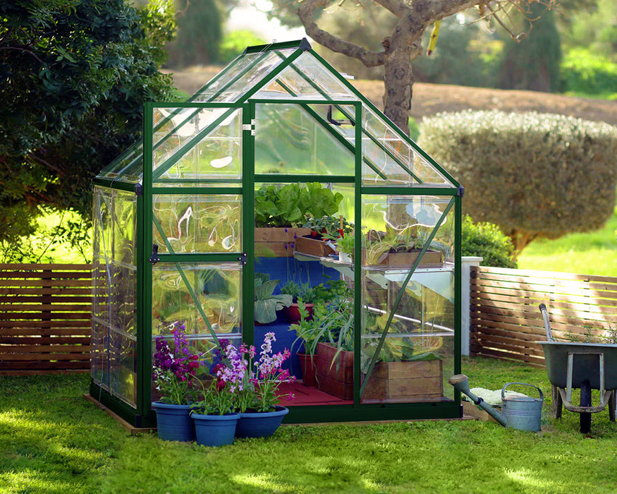 Palram Canopia Harmony 6 ft. x 4 ft. Greenhouse - Green